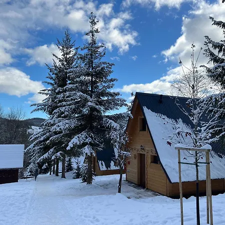 W Lesie ティリチ