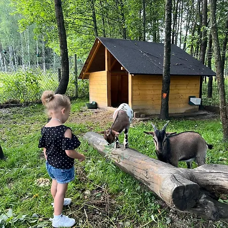Chalet W Lesie