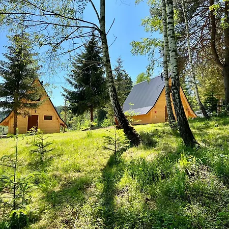 シャレー W Lesie