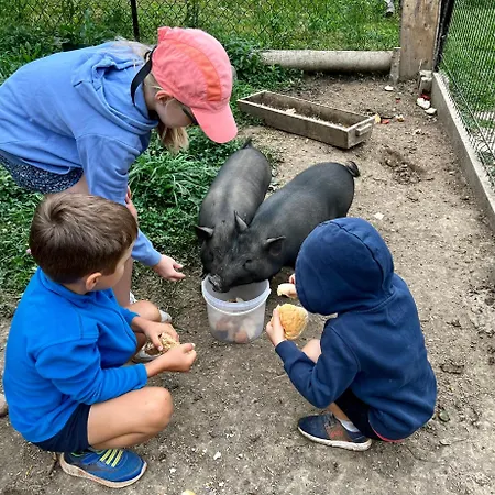 シャレー W Lesie